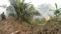 Bikin Khawatir, Kebakaran Lahan di Kota Dumai Mendekati Bandara Pinang Kampai