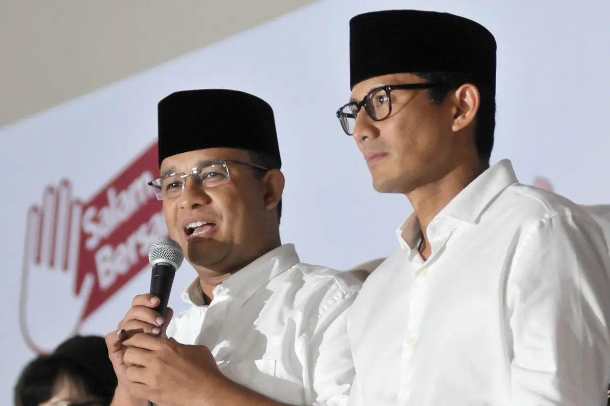 Anis - Sandi
