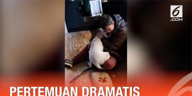 VIDEO: Mengharukan, Tunawisma Bertemu Anjing yang Hilang