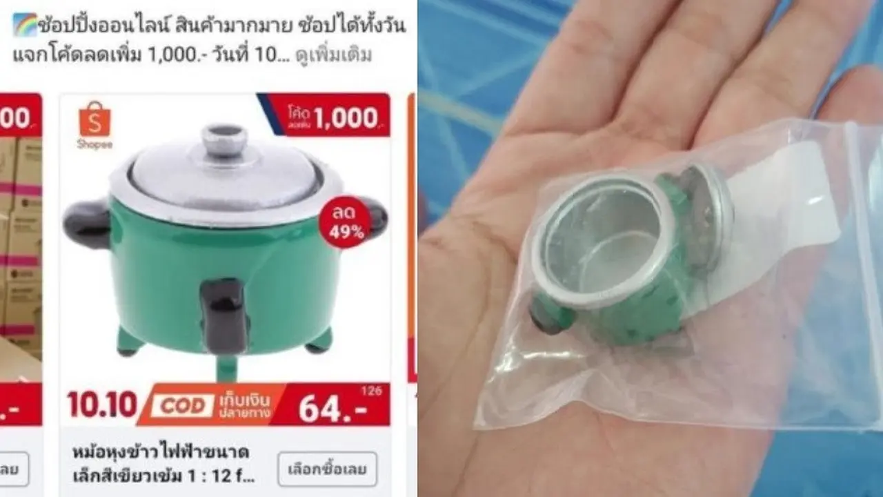 rice cooker mini