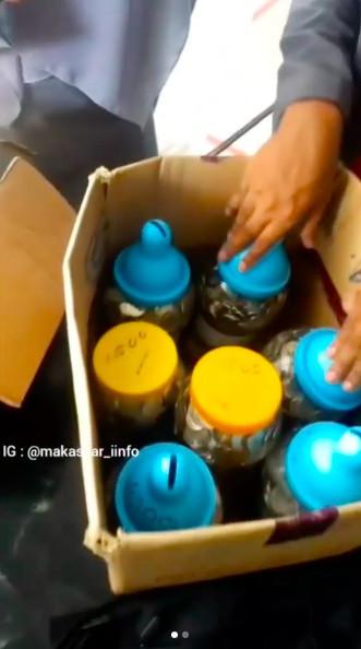 Seorang ibu membeli mobil Toyota menggunakan uang receh hasil menabung 5 tahun (Instagram/makassar_iinfo)