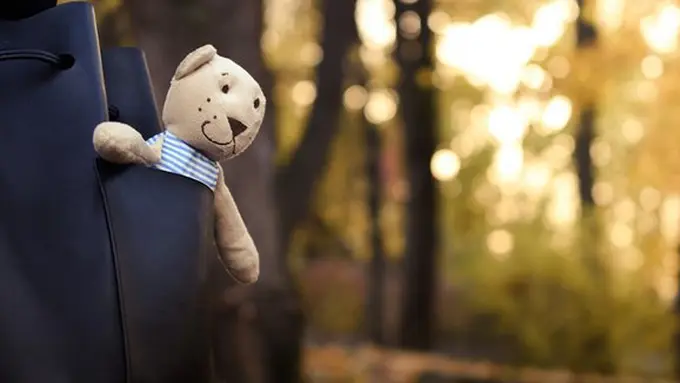 Ilustrasi./Copyright pixabay.com