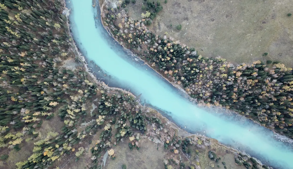 Foto dari udara yang diabadikan pada 28 September 2020 ini menunjukkan pemandangan musim gugur kawasan wisata Kanas di Altay, Daerah Otonom Uighur Xinjiang, China barat laut. (Xinhua/Zhang Yudong)