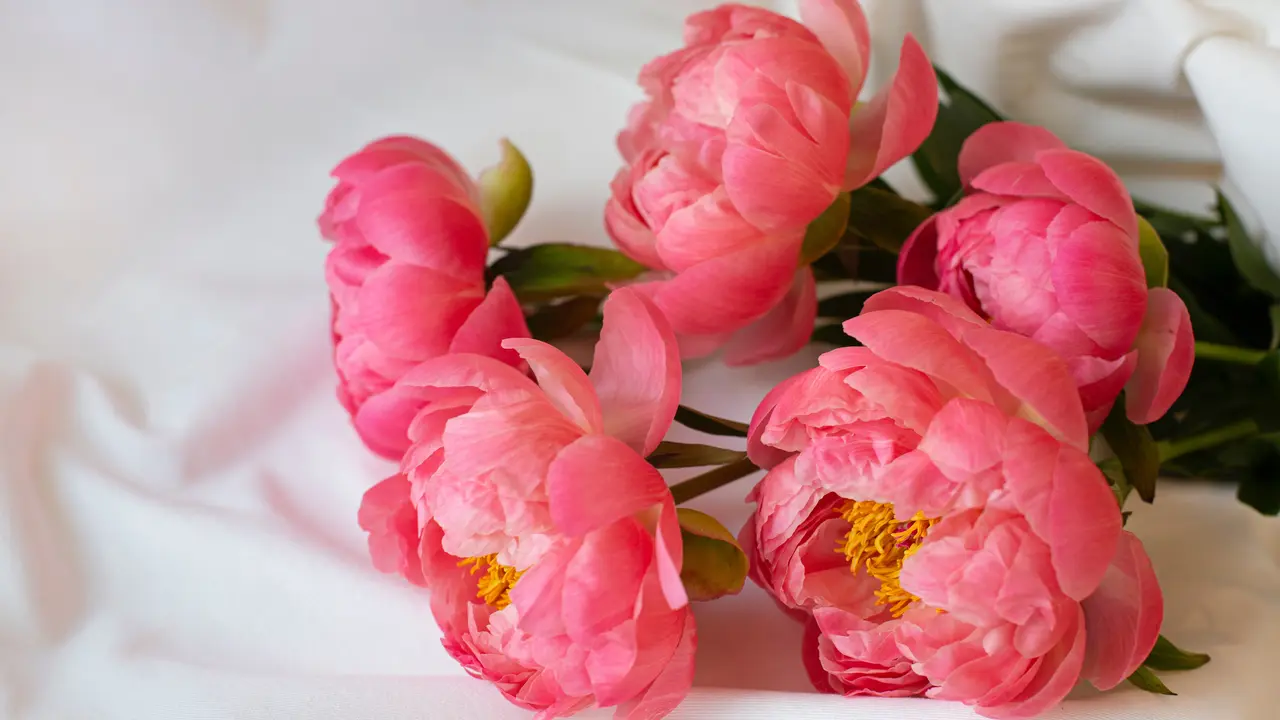 buket bunga