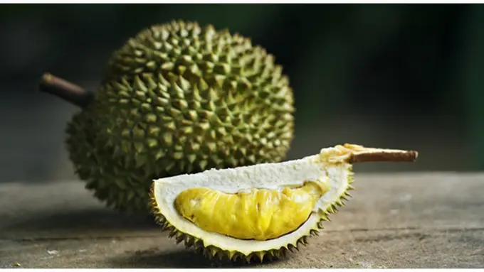 Foto: copyright Shutterstock.com