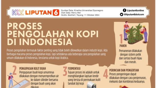 Infografis proses pengolahan kopi di Indonesia
