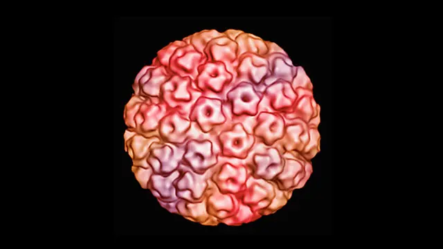 Kenali, 2 Jenis Vaksin Pencegah Kanker Serviks