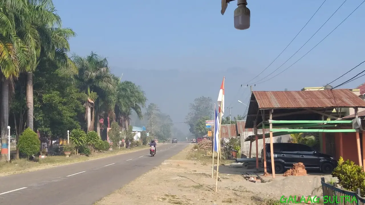 Kabut asap lahan gambut yang sudah masuk di jalur trans Sulawesi, Kolaka Timur.(Liputan6.com/Ahmad Akbar Fua)