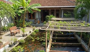 Ternak Ikan Hias vs Ikan Konsumsi. (Foto: AI)