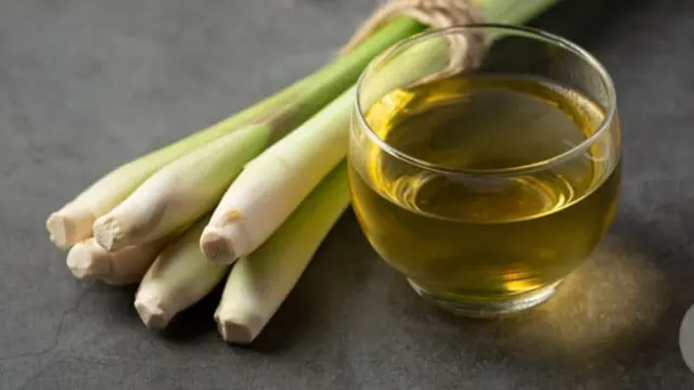 Cara Menanam Serai di Pot dengan Mudah