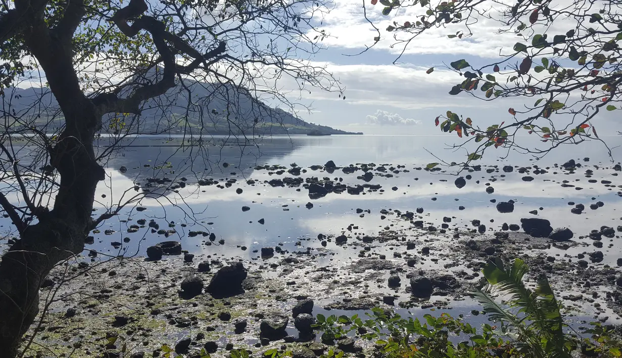 Minyak mencemari pantai di Riviere des Creoles, Mauritius, Minggu (9/8/2020). Mauritius memberlakukan status darurat setelah kapal Jepang, MV Wakashio, kandas dan menumpahkan 1.000 metrik ton minyak mentah. (Sophie Seneque via AP)