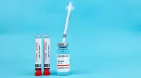 Indonesia kedatagan 4,7 dosis vaksin Covovax dan Pfizer. (pexels/maksim goncharenok).