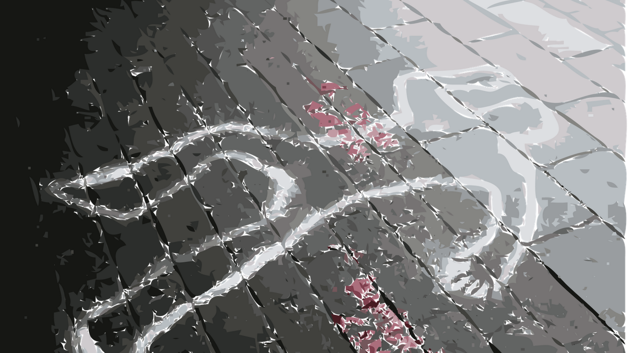 [Bintang] Kasus Pembunuhan Anak dalam Kardus Kembali Membawa Duka