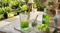 8 Ide Minuman Cepat untuk Cuaca Panas, Segar dan Praktis Tanpa Blender