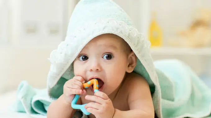 Photo: Copyright Thinkstockphotos.com