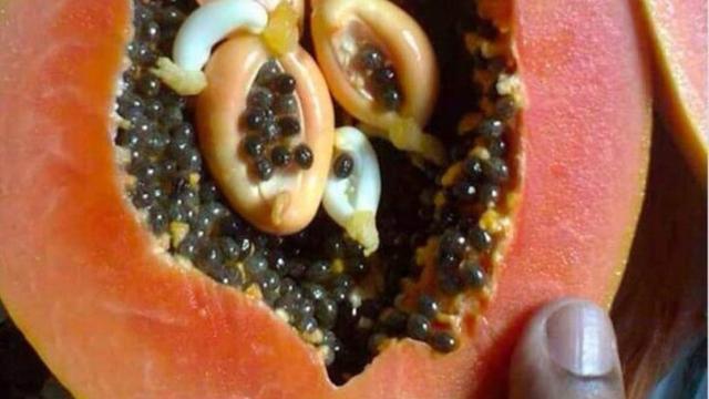 8 Potret Buah Berbentuk Unik Banget, Bikin Takjub