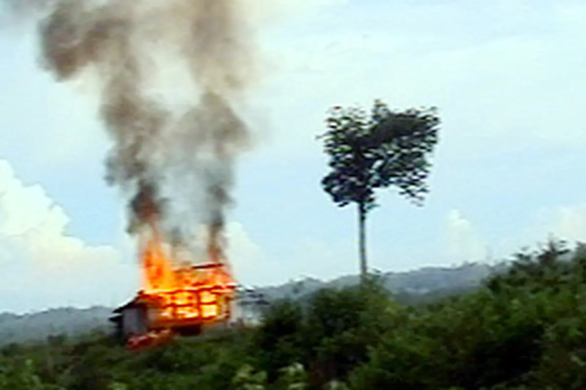 190906cpetani-sawit.jpg