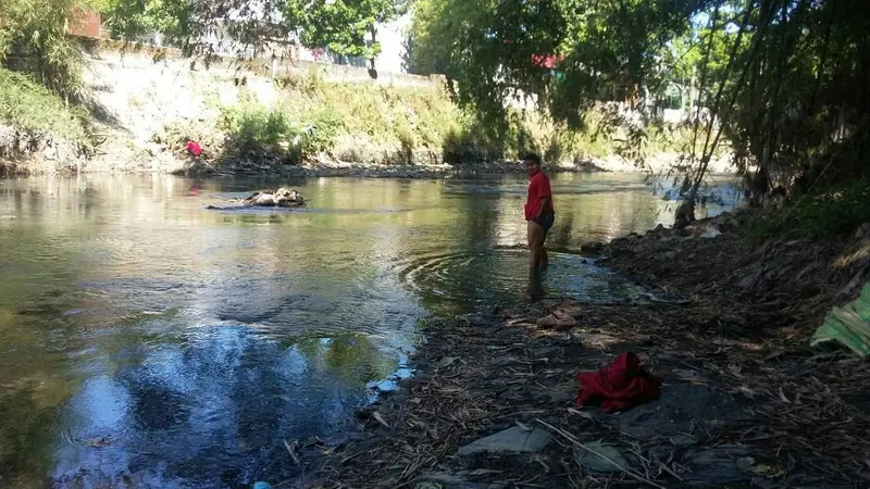 Ironi Panen Ikan Sekarat di Sungai Bedok Bantul