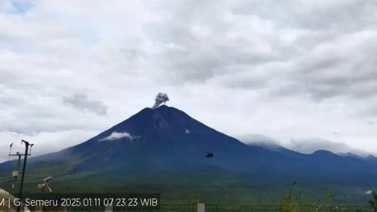 Gunung Semeru kembali erupsi dengan tinmggi letusan capai 600 meter (Istimewa)