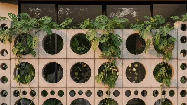 Teras Roster Motif Lubang Bulat dengan Tanaman Monstera Rambat