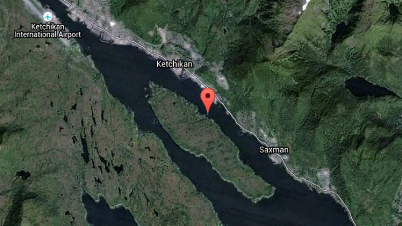 Misteri Anjing Alaska Ditemukan Berenang Menyeberangi Pulau