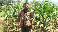 Abdul bangkit menanam jagung setelah gempa Palu menghancurkan tempat tinggalnya. (Dok FAO Indonesia)