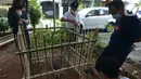 Warga melihat Bunga Bangkai (Amorphophallus Titanium) yang tumbuh di Taman Perumahan Pondok Kopi RW 09, Jakarta Timur, Rabu (17/11/2021). Bunga bangkai yang sudah ditanam selama 4 tahun dengan tinggi 50 cm baru tumbuh bunga 3 hari dan mengeluarkan bau tidak sedap. (merdeka.com/Imam Buhori)