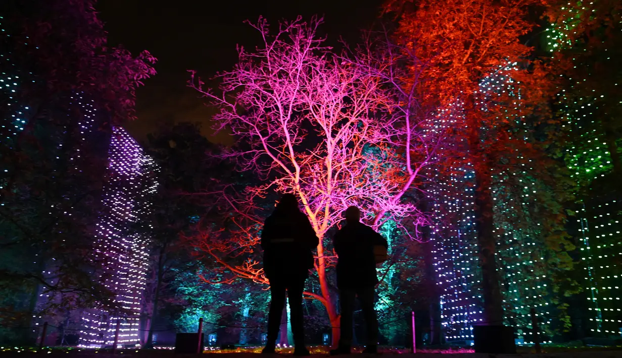 Pengunjung melihat instalasi cahaya yang berjudul 'Waterfalls' pada sesi pemotretan di Kew Gardens, London, Selasa (19/11/2019). Pemasangan lampu tersebut untuk menyambut Natal dan peluncuran acara "Christmas at Kew Gardens". (Daniel LEAL-OLIVAS / AFP)