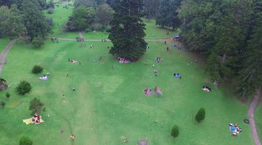 Keramaian di Kebun Raya Cibodas, Jawa Barat, yang menjadi destinasi wisata turis asal Timur Tengah. (Liputan6.com/Balgorazky Marbun)