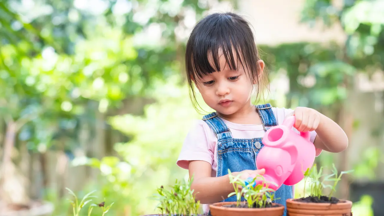 berkebun
