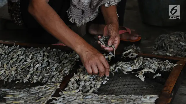 bisnis cicak