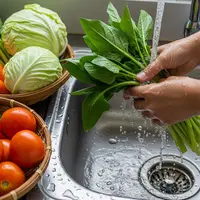 Tips Mencuci Sayur yang Benar untuk Menghilangkan Pestisida (Sumber: gemini.com)