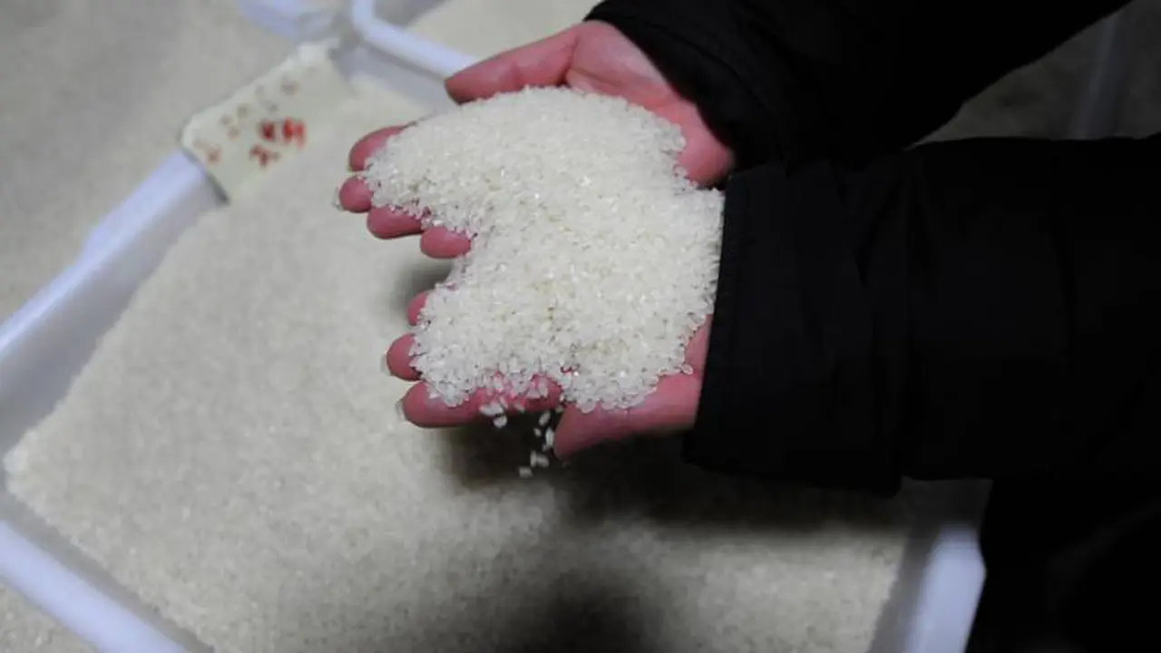 [Bintang] Beras Plastik dan Beras Tercemar Lain Dari China