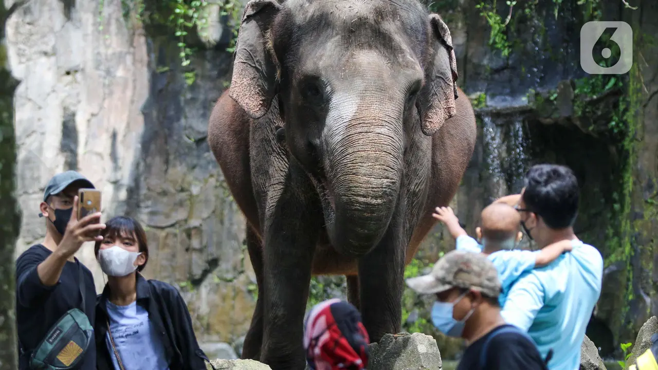 Taman Margasatwa Ragunan Ramai Saat Libur Isra Miraj