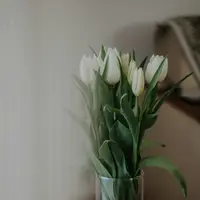 5 Manfaat Memiliki Bunga di Rumah yang Sering Tidak Disadari./copyright. pexels/