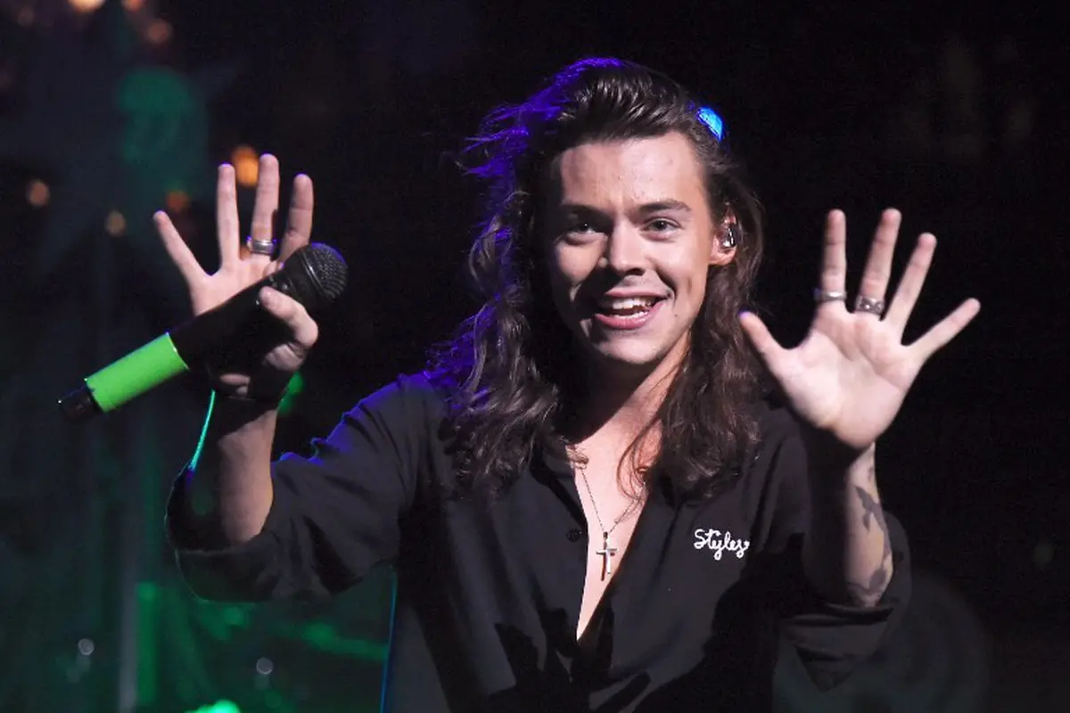  Harry Styles 
