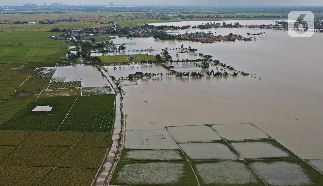 Foto udara areal persawahan yang terendam banjir di Desa Karangligar, Kecamatan Telukjambe Barat, Karawang, Kamis (10/2/2021). Banjir di Desa Karangligar akibat meluapnya sungai Citarum dan Cibeet membuat ratusan rumah terendam banjir dan ratusan hektar sawah. (Liputan6.com/Herman Zakharia)