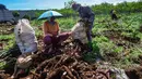 Presiden Prabowo Subianto telah menyetujui penghentian impor ubi kayu atau singkong serta produk turunannya. (merdeka.com/Arie Basuki)
