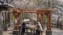 Di momen ini orang-orang dari segala usia akan berkumpul di bawah pohon sakura untuk hanami. Tampak dalam foto, orang-orang berbincang di bawah pohon sakura di sebuah taman di Tokyo pada Senin 30 Maret 2026. (Yuichi YAMAZAKI/AFP)