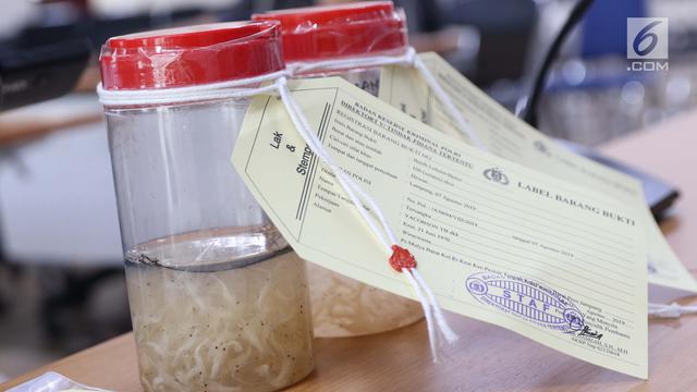 Bareskrim Mabes Polri Gagalkan Penyelundupan Benih Lobster