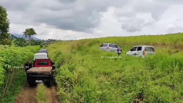Niat Hindari Macet, Puluhan Mobil Ini Malah Terjebak Jalan Tanah di Kebun Singkong