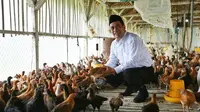 Wahai Pemuda Ini 10 Alasan untuk Kita Jangan Remehkan Pertanian