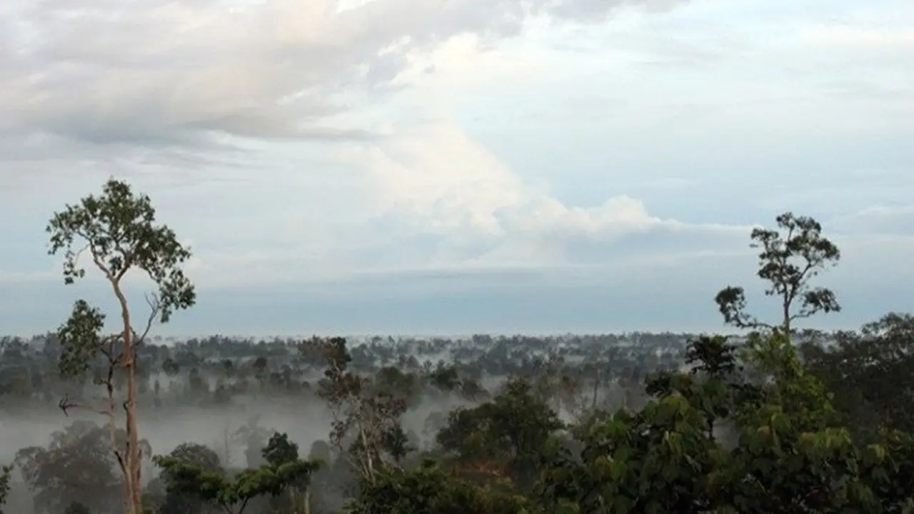 Hutan Harapan Jambi