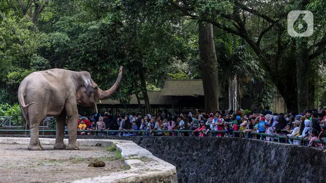 Libur Lebaran 2023, Pengunjung Taman Margasatwa Ragunan Membludak