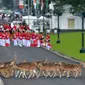 Gerombolan rusa melintas di Istana Bogor jelang kedatangan rombongan Raja Salman, Bogor, Rabu (1/2). Raja Salman membawa sebanyak 1.500 orang termasuk di dalamnya putera mahkota, pangeran dan para menteri. (AFP PHOTO / POOL / Dita Alangkara)