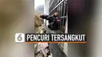 vertical pencuri nyangkut