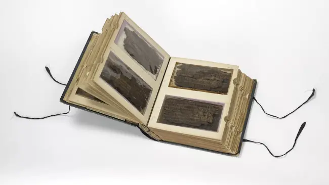 Manuskrip Bakhshali terdiri dari 70 helai kulit kayu. (Sumber University of Oxford/Bodleian Libraries)