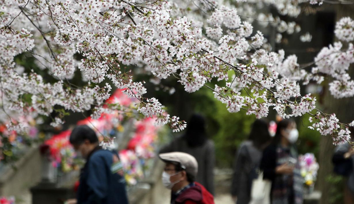 Orang-orang yang memakai masker berjalan-jalan di bawah bunga sakura yang mekar penuh di Kuil Zojoji, Tokyo, Jepang, Selasa (29/3/2022). (AP Photo/Koji Sasahara)