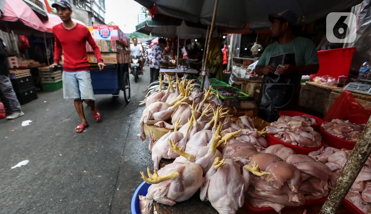 Lapak pedagang ayam potong yang berjualan di Pasar Tradisional Kebayoran, Jakarta Selatan, Senin, (5/9/2022). Pembeli mengeluhkan harga-harga bahan pangan yang mulai naik hari ini, atau 2 hari setelah Presiden Joko Widodo (Jokowi) mengumumkan kenaikan harga bahan bakar minyak (BBM) jenis pertalite, solar, dan pertamax. (Liputan6.com/Johan Tallo)