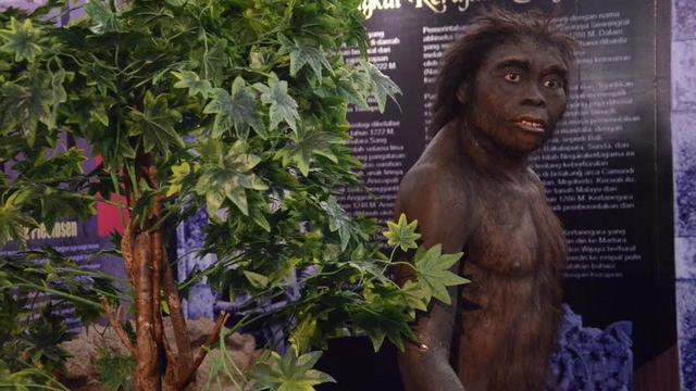 Manusia Purba WCF 2016